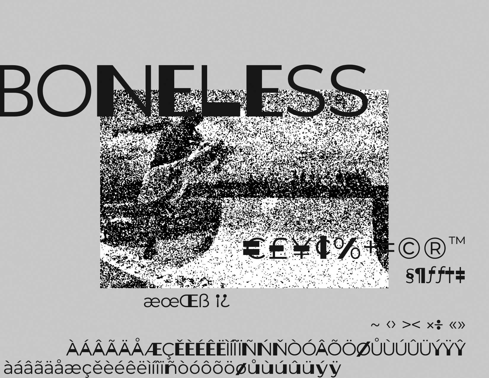 Monty_type_specimen_2025B